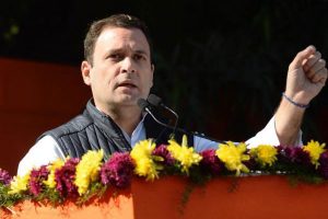 With 10mn Twitter followers, Rahul to celebrate in Amethi