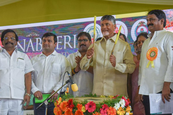 TDP's anti-BJP campaign got voters' approval: Chandrababu