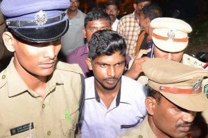 Kodi Kathi incident was an accident?