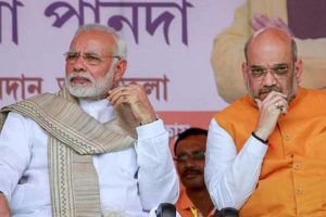 Are BJP AP leaders insignificant?