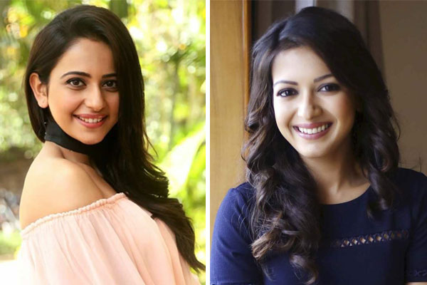 Rakul and Catherine for Nandamuri hero's Kalyan Ram next