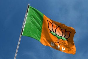 Can BJP create a strong Hindu vote bank in AP?