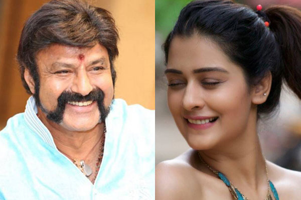 Balayya to romance RX 100 Hottie