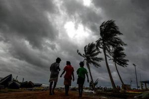 Fani cyclone damages in 733 villages