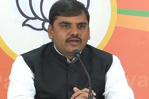 Andhra SEC must immediately demystify alleged poll app: BJP