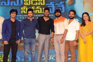 Ninu Veedani Needanu Nene Movie Pre Release Event