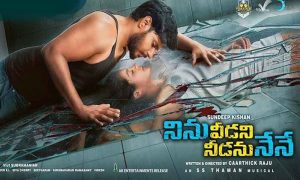 Ninu Veedani Needanu Nene Review