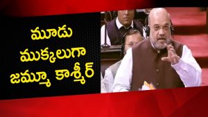 Video: Amit Shah Moves Proposal To Remove All Provisions of Article 370