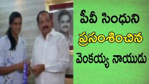 Video: PV Sindhu meets Vice-President Venkaiah Naidu