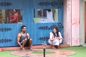 Bigg boss: Journey of the finalists