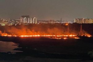 Wildlife concerns rise after second fire in Hyderabad varsity campus