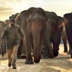 Aranya Movie Review