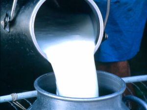 Govt brings new Chairman for Sangam dairy