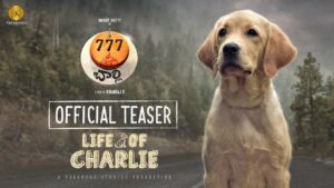 777 Charlie Teaser: A journey with a purpose