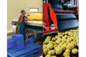 Telangana aims to attract Rs 25K cr investment in food processing