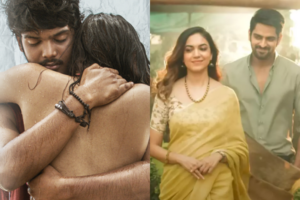 Weekend Box-Office : Romantic average, Varudu Kaavalenu low