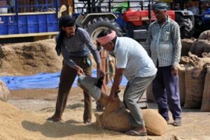 No end to politics over paddy in Telangana se