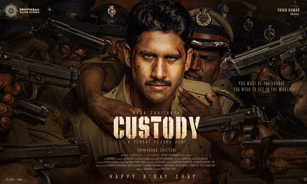 Custody Movie