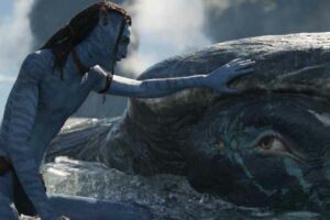 Avatar fever grips the Nation
