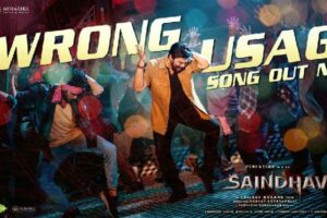 Wrong Usage: Fun Number From Saindhav