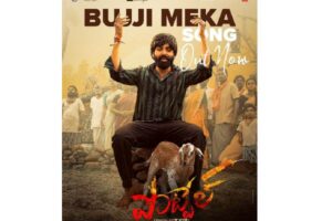 Bujji Meka: An Emotional Roller Coaster