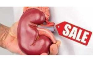 Kidney Organ Trafficking Ring Uncovered in Guntur