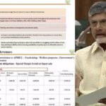 chandrababu fired over ycp illegal liquor policy