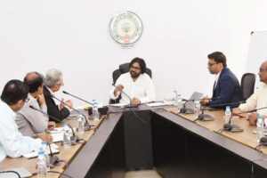 AIIB Executives Meet AP Deputy CM Pawan Kalyan