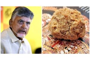 Animal Fat used in Tirumala Prasadam by Jagan govt.