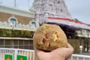 Preserving Tradition: TTD’s Quest for the Perfect Tirupati  Laddu