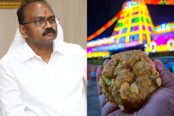 TTD EO Syamala rao about ttd laddu scam