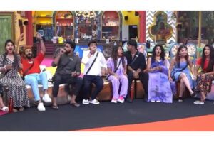 Bigg Boss Telugu 8 : 12 Wildcard Entry Twist