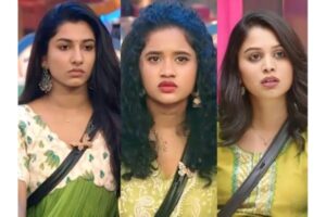 Bigg Boss Telugu 8: Wild Card Entries Shake Up the House