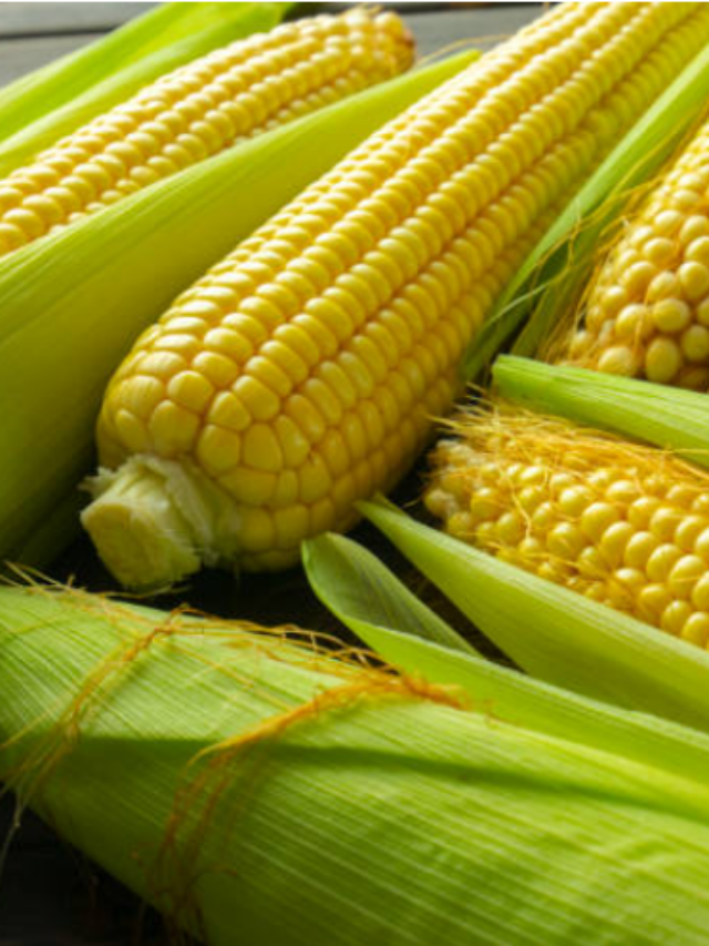 Corn Benefits (4)