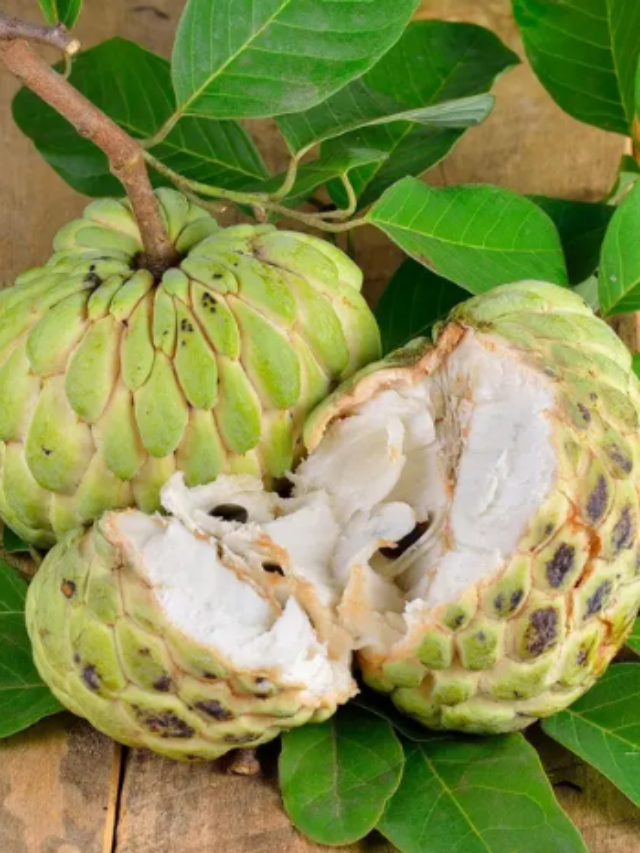 Custard Apple Health Benefits