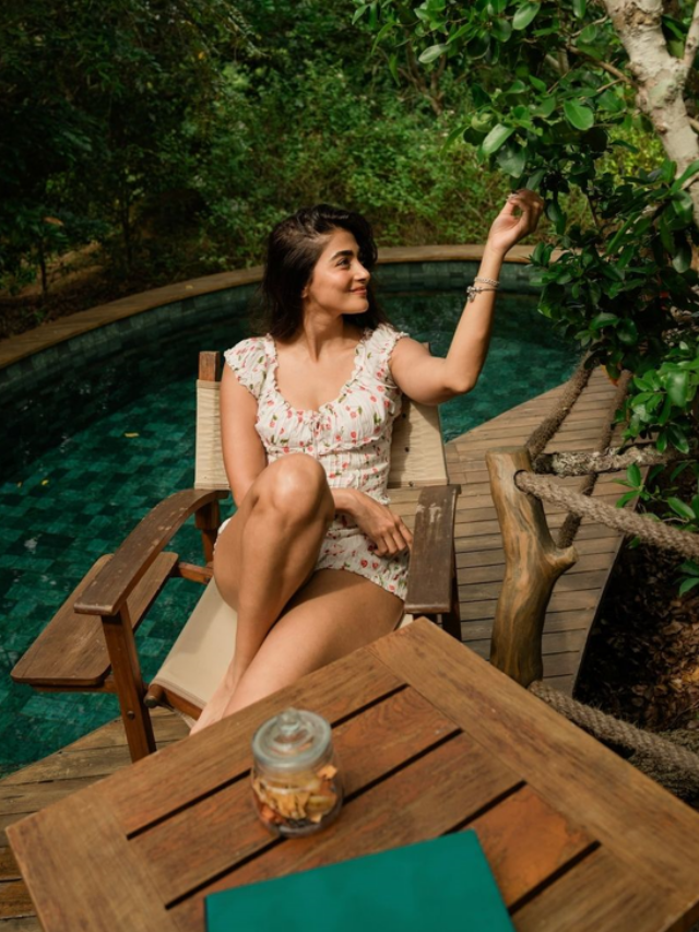 pooja hegde (4)