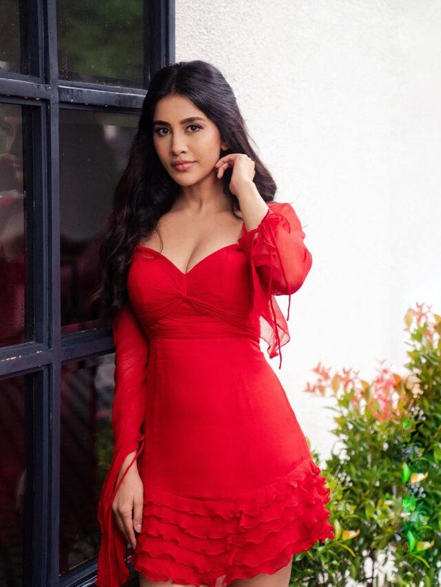 Nabha Natesh Stunning Look In Red Dress