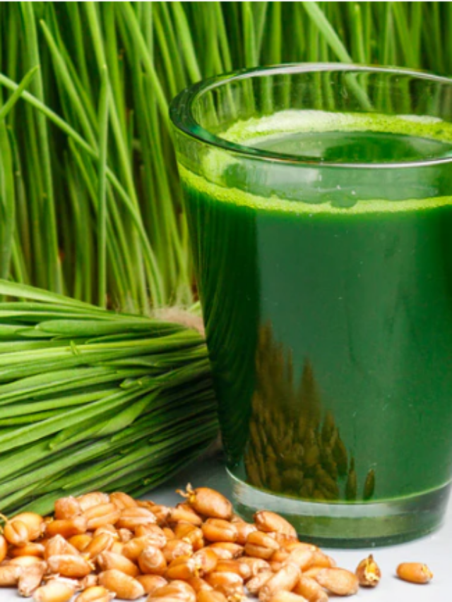 Wheatgrass Juice Benefits