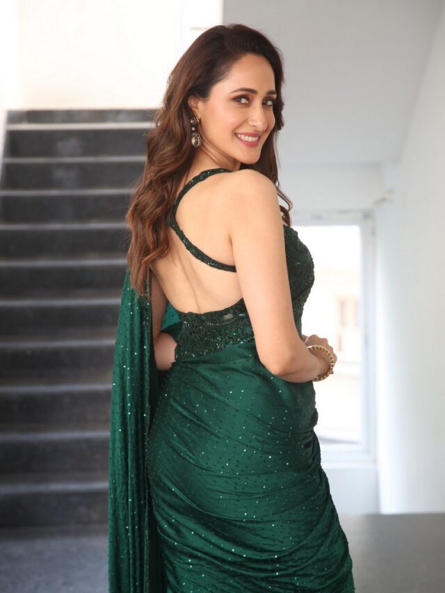 Pragya Jaiswal for Daaku Maharaaj movie promotions