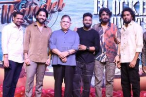 Thandel Success Meet