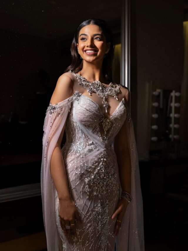 Meenaakshi Chaudhary Fairy Tale Look In SIIMA 2025