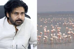 Pawan Kalyan’s Flamingo Plan at Pulicat Lake Sparks Bhumana’s Witty Reaction