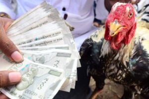 Sankranti 2026: Andhra Pradesh Sees Massive Festive Movement and Economic Activity