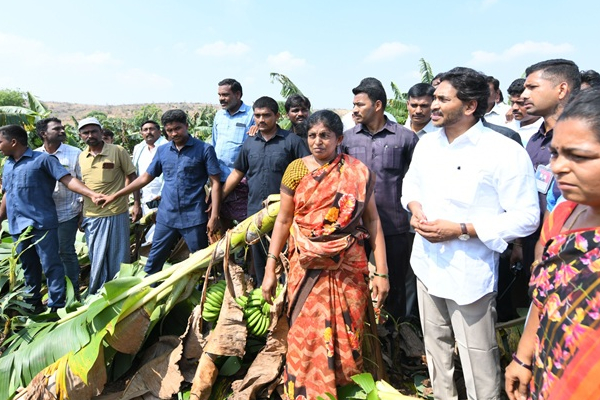 పులివెందులకూ వారం ముందు “స్కెచ్” ఉండాల్సిందే !