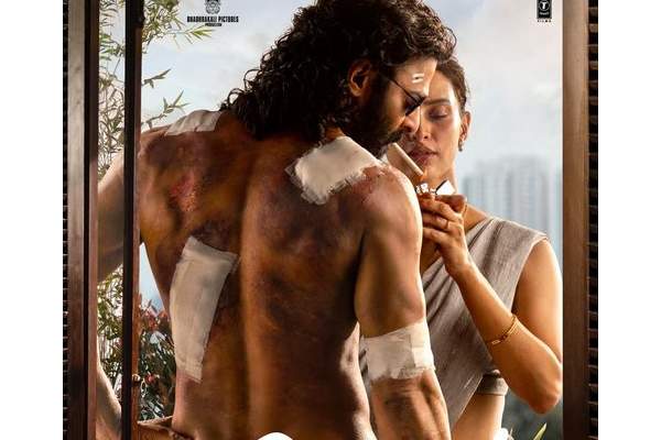 స్పిరిట్‌: సందీప్ వంగా హ‌ద్దులు దాటేస్తున్నాడా?