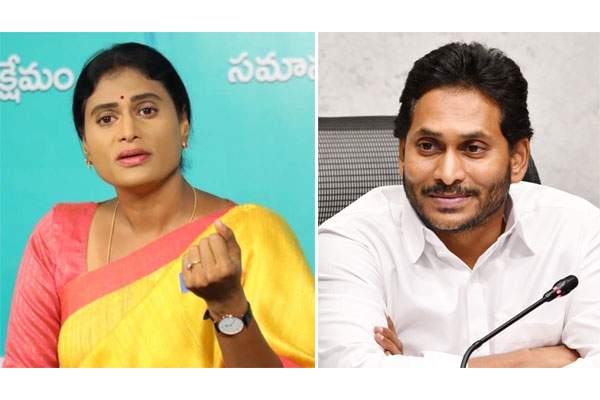 వైఎస్ పాదయాత్రపై జగన్ ట్వీట్ – గాలి తీసేసిన షర్మిల